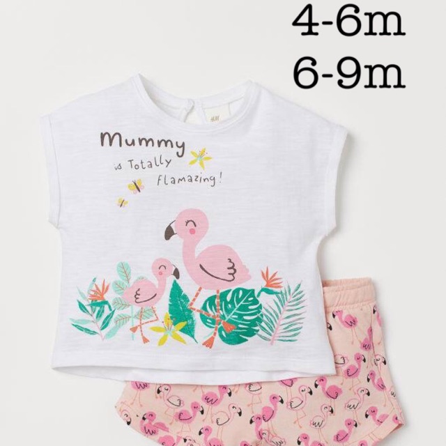 Set hạc hồng HM