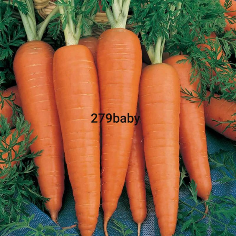 1kg cà rốt tươi [ chỉ giao TPHCM  ]