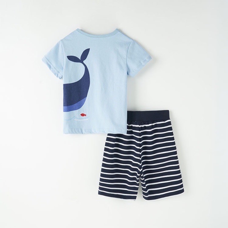 Bộ cộc thun cá voi