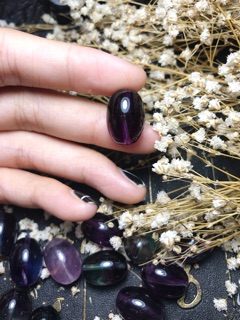 Lu thống florit sale 20-10