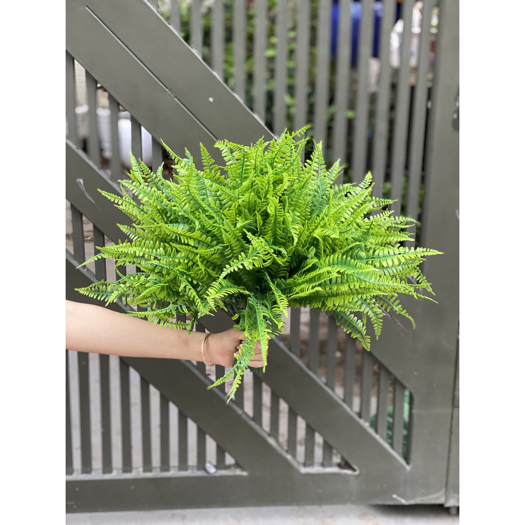 🌿 Cành lá dương xỉ 7 nhánh (trong ảnh là 10 cành) - cây giả trang trí cao cấp