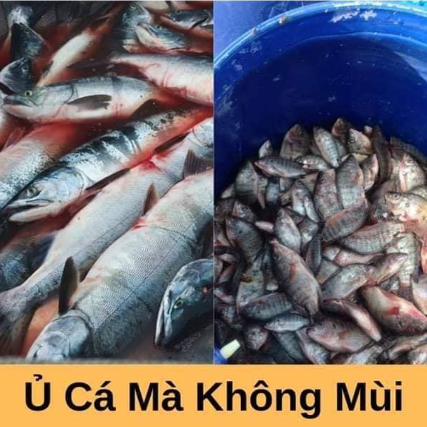 Combo 3sp đạm cá, đậu tương, dịch chuối  Phân bón tự nhiên cho hoa hồng, cây cảnh, rau.