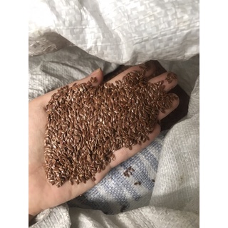1kg Hạt lanh nâu Sống chưa rang (Flaxseed)