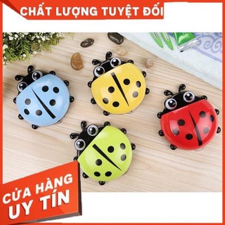 BỌ RÙA LEO TƯỜNG ĐỰNG ĐỒ ĐA NĂNG [Xưởng Sỉ Dương Biên]