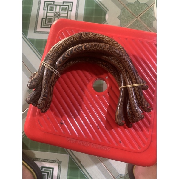 Cầu góc mun lồng mào