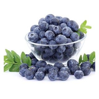 Hạt giống Việt quất
