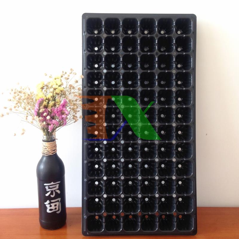Hộp 150 khay ươm cây (Dày 1mm, nặng 120g), khay ươm hạt, vỉ ươm rau (72 lỗ)