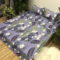 Chăn Ga gối cotton poly