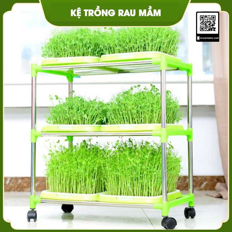 Kệ 4 tầng 8 khay trồng rau mầm thủy canh chuyên dụng