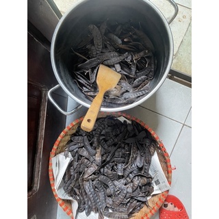 Cốt gội Bồ Kết