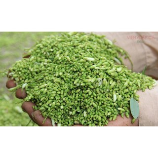 NỤ HOA HÒE KHÔ (túi 1kg)