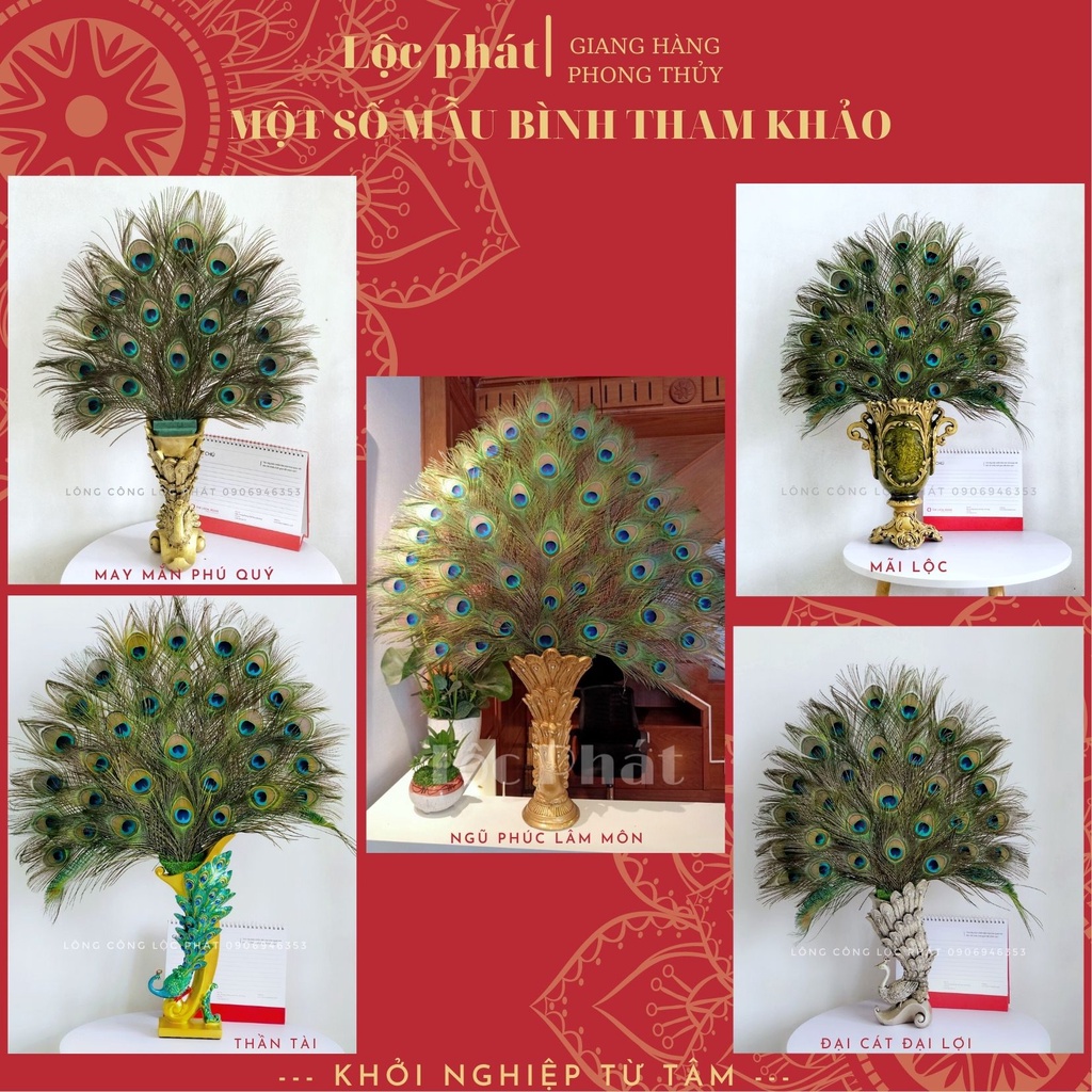 Lông công phong thủy trang trí oản Lộc phát tự nhiên mắt to cắm bình
