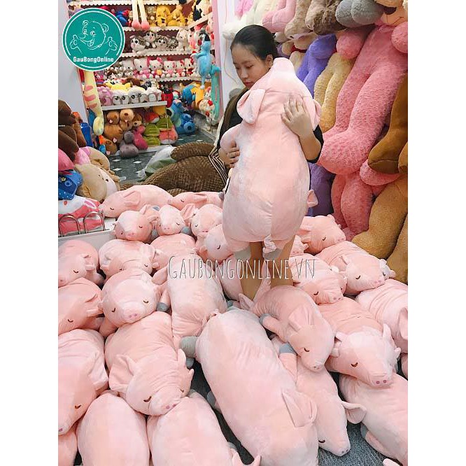 Lợn bông nằm loại 70cm