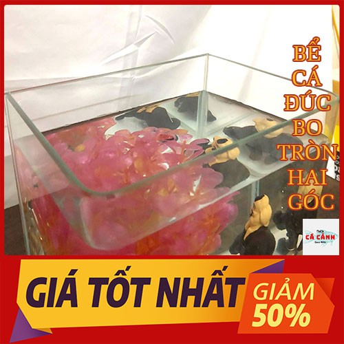 Bể Cá Cảnh Đúc Mini Để Bàn ( 20cm x 13cm x 16cm) Bo Tròn Hai Góc Cao Cấp