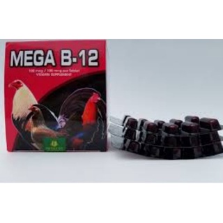 Mega B12 combo 3 vĩ* 10 viên sử dụng trên vật nuôi