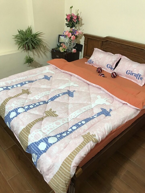 Set ga chun chăn hét cotton đũi kèm áo gối