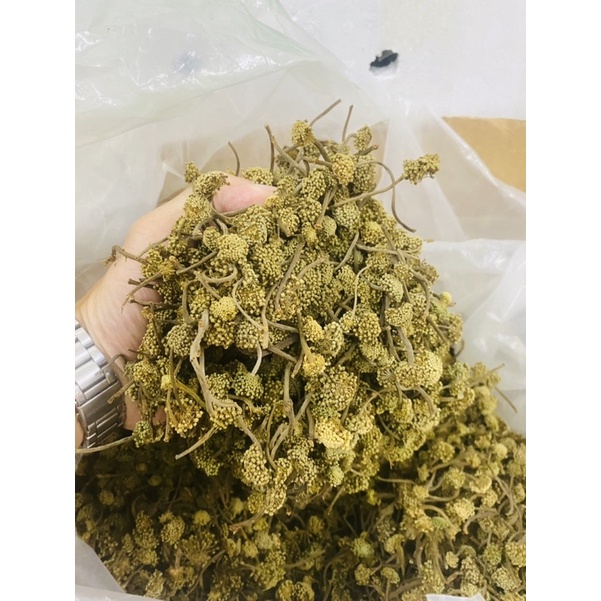 Siêu Rẻ - 0.5kg Trà Nụ Hoa Tam Thất Khô