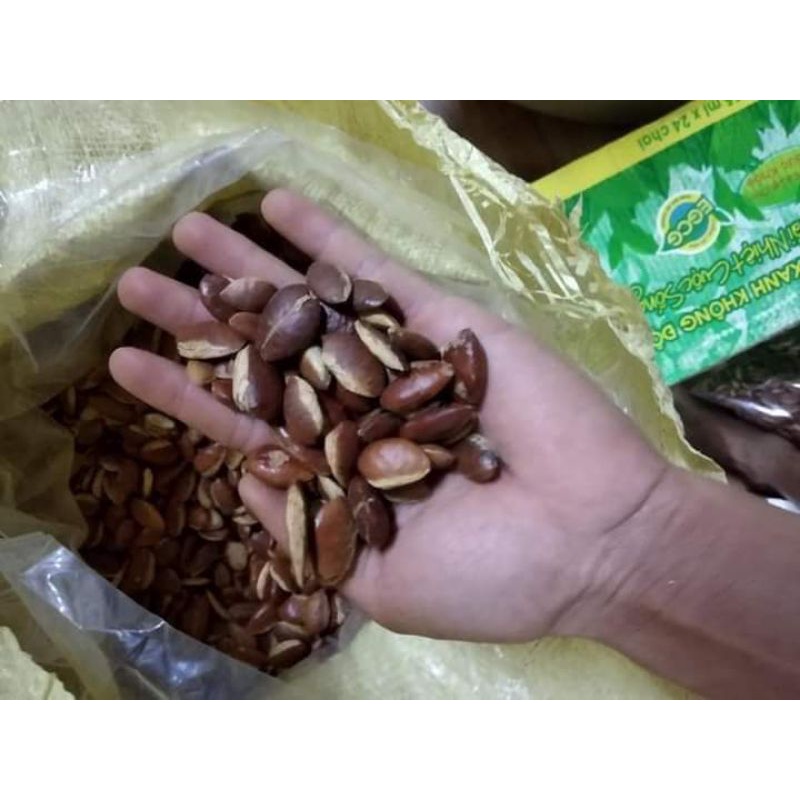 Hạt KoNia 1kg rang sẵn