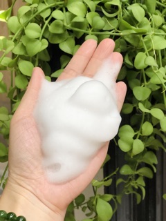 Cốc Tạo Bọt Sữa Rửa Mặt Nhỏ Xinh