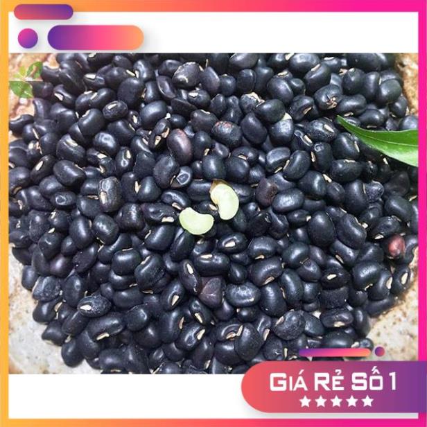 Hạt Giống Đậu Đen Lòng Xanh Năng Suất Cao, 1 gói 100gr