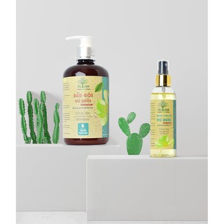 COMBO -  Dầu Gội Bưởi giảm rụng tóc và serum tinh dầu bưởi mọc tóc AmeGreen