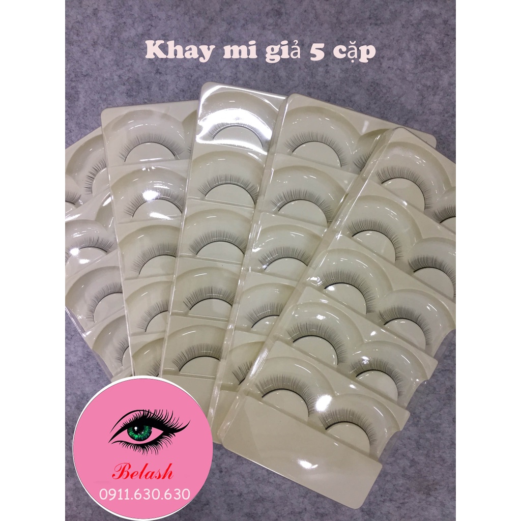Mi tập nối 5 cặp_mi giả tập nối_dụng cụ nối mi_Be Lash