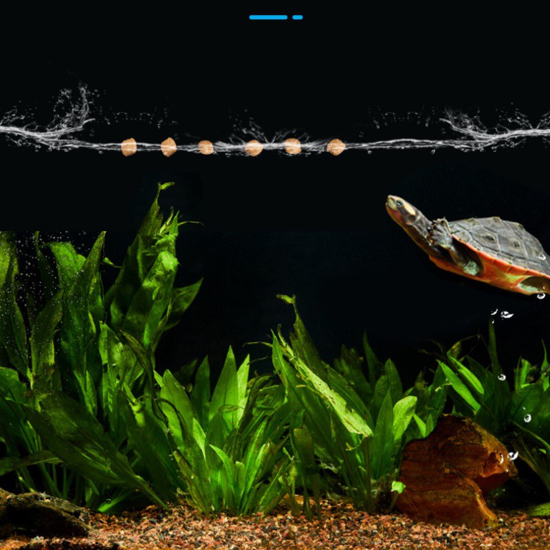 Thức ăn rùa nước 450ml  Kết hợp dinh dưỡng 4 trong 1 được rùa yêu thích