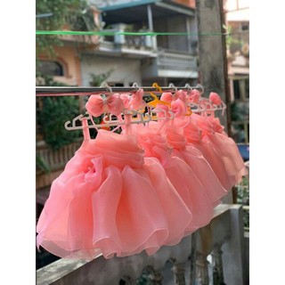 Đầm xếp ly Cam