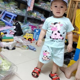 Áo cộc cài vai