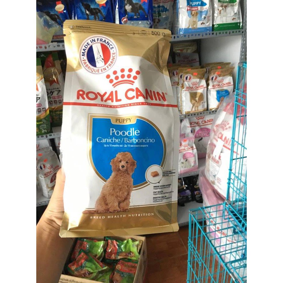 [Mã 159FMCGSALE giảm 8% đơn 500K] Thức ăn cho chó Royal Canin Poodle Puppy gói 500g