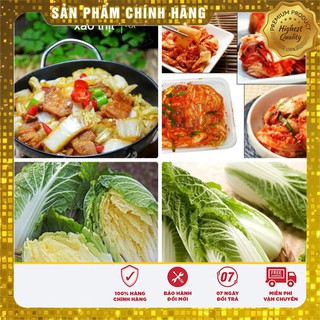 Hạt giống Rau Cải thảo Ngon ( 1 gam)