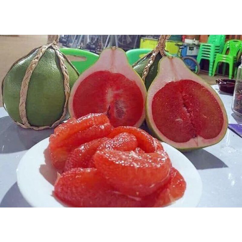 cây bưởi ruby không hạt