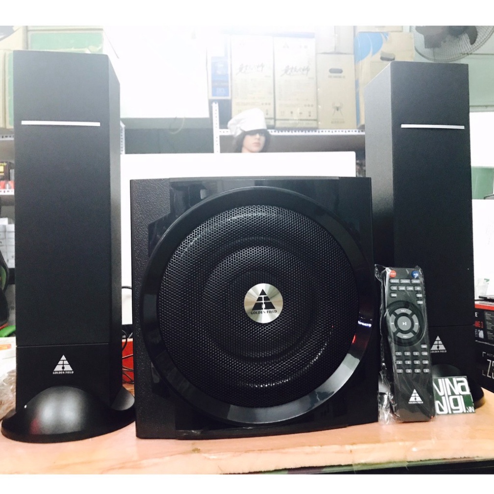 Loa Golden Field H308 HIFI USB/SD/FM/Bluettoth CHÍNH HÃNG BẢO HÀNH 24 THÁNG