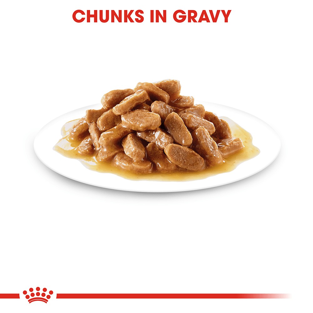 Pate Royal Canin Maxi Puppy Cho Chó Con Giống Lớn (140g)