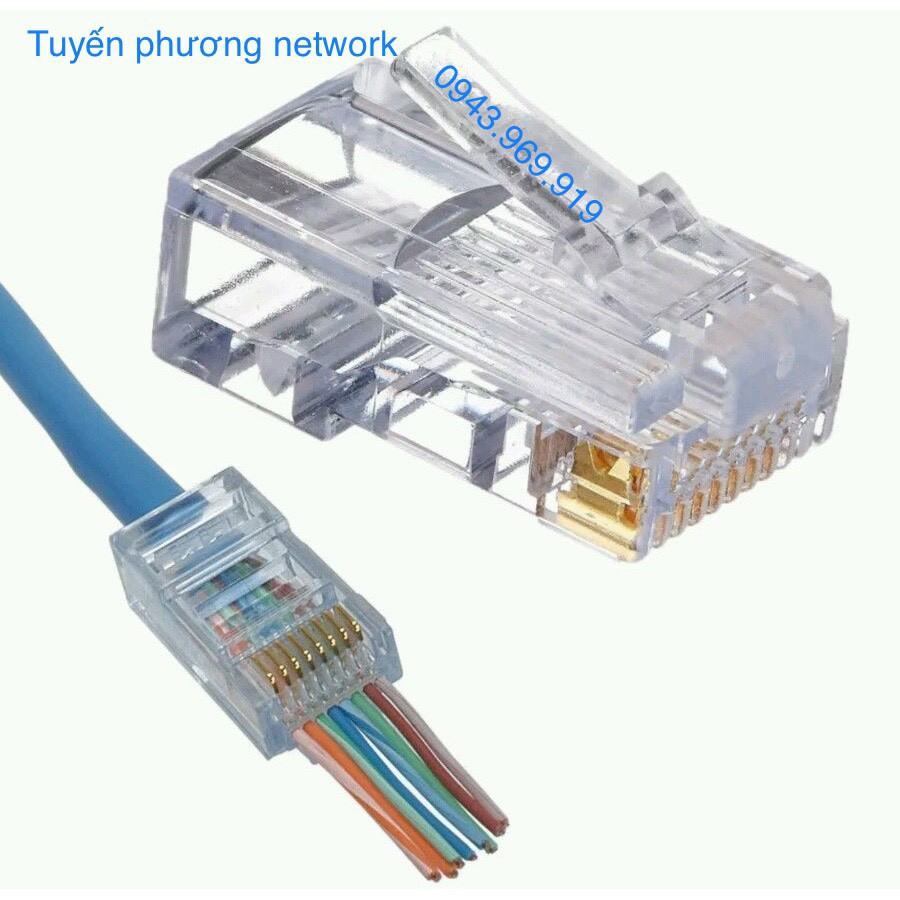 Hạt mạng xuyên thấu RJ45 Cat 5 AMP/commscope hộp 100 hạt