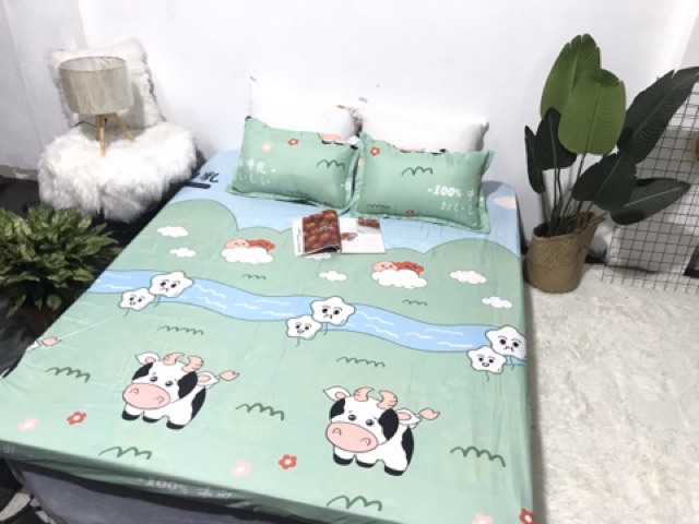 Bộ Ga Gối Cotton Poly Bò Xanh