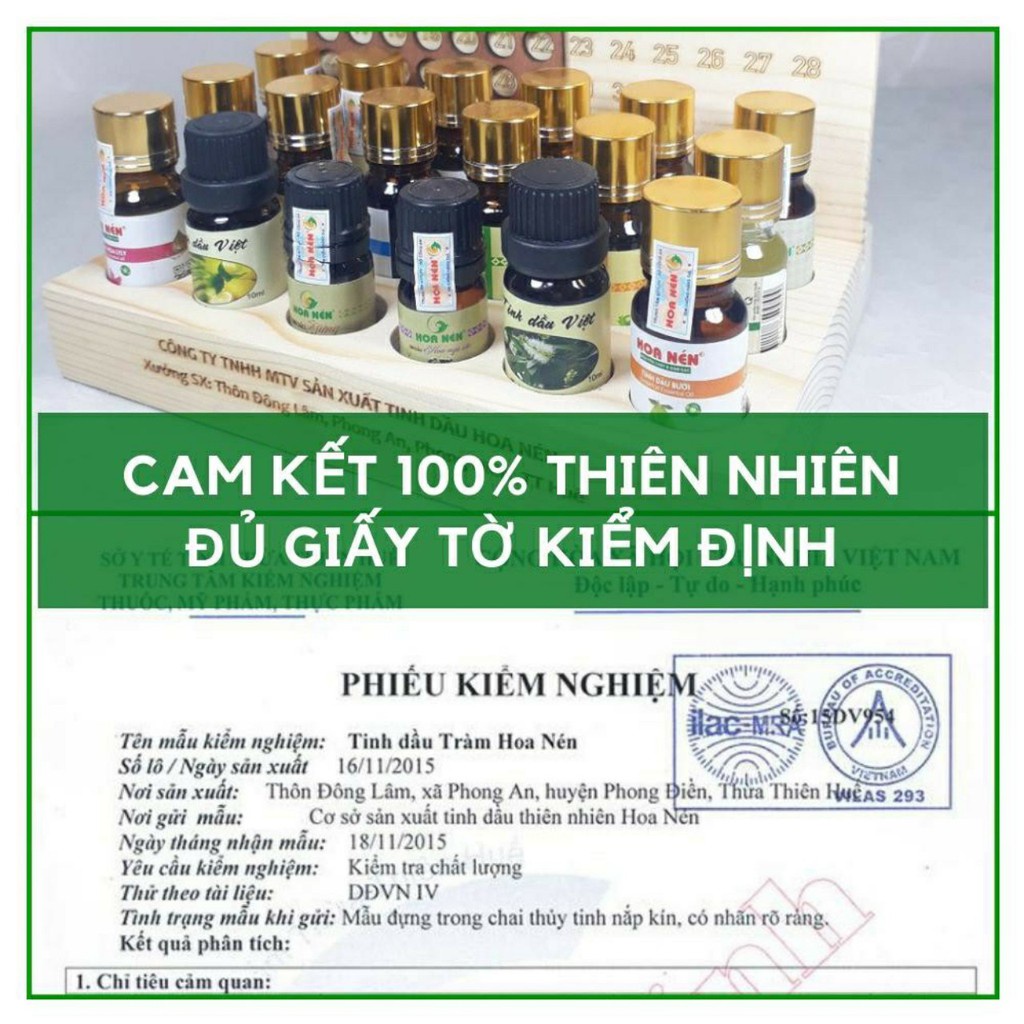 [Mã HOANEN3k giảm 3K] Tinh dầu Tràm Huế nguyên chất 10ml_Giữ ấm, coi ngó thân thể bé hiệu quả và an toàn