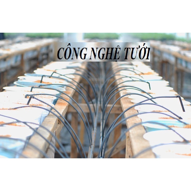 100m Ống nhựa PE mềm màu đen 3ly 3mmx5mm cao cấp  - chuyên dùng cho que cắm hệ thống tưới nhỏ giọt nhà kính