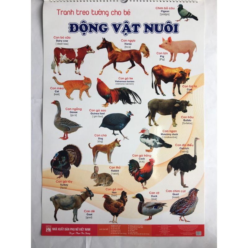 Bộ tranh song ngữ dạng cuốn lịch 6 tờ - 14 chủ đề chữ cái con vật hoa quả màu sắc treo tường cho bé