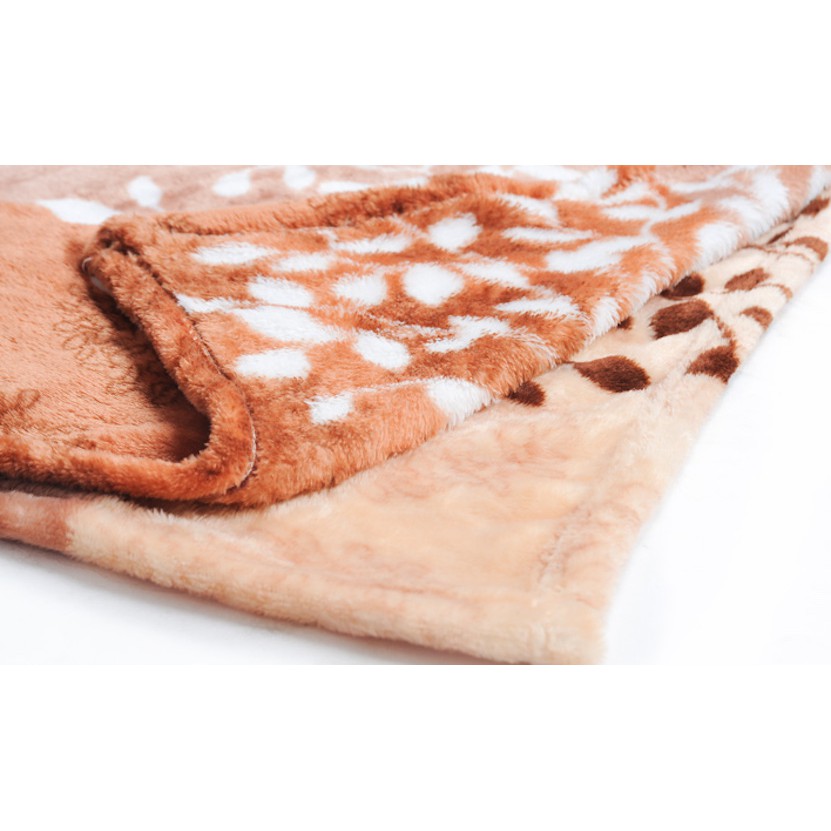 Chăn tuyết nhung siêu mềm mịn 1m6x2m