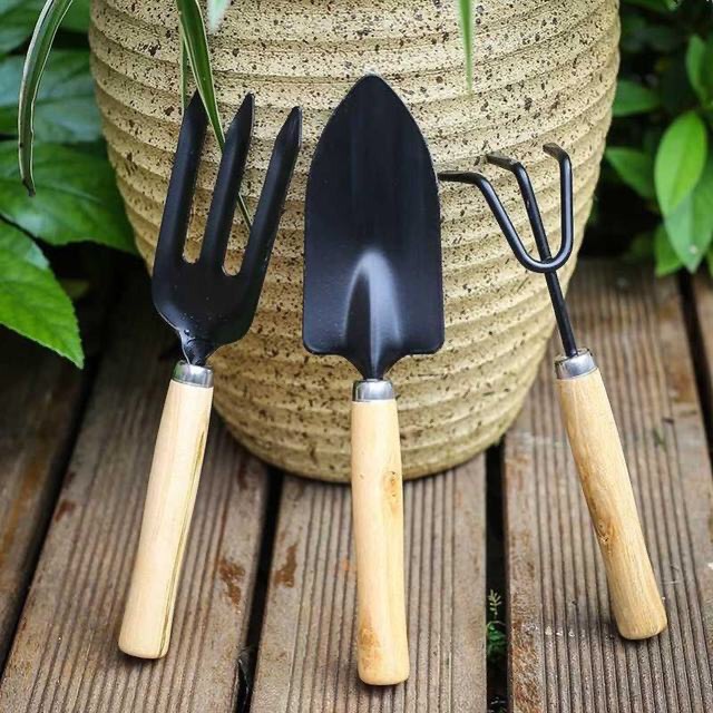Bộ Dụng Cụ Làm Vườn 3 Món Cỡ To (BLV-002)