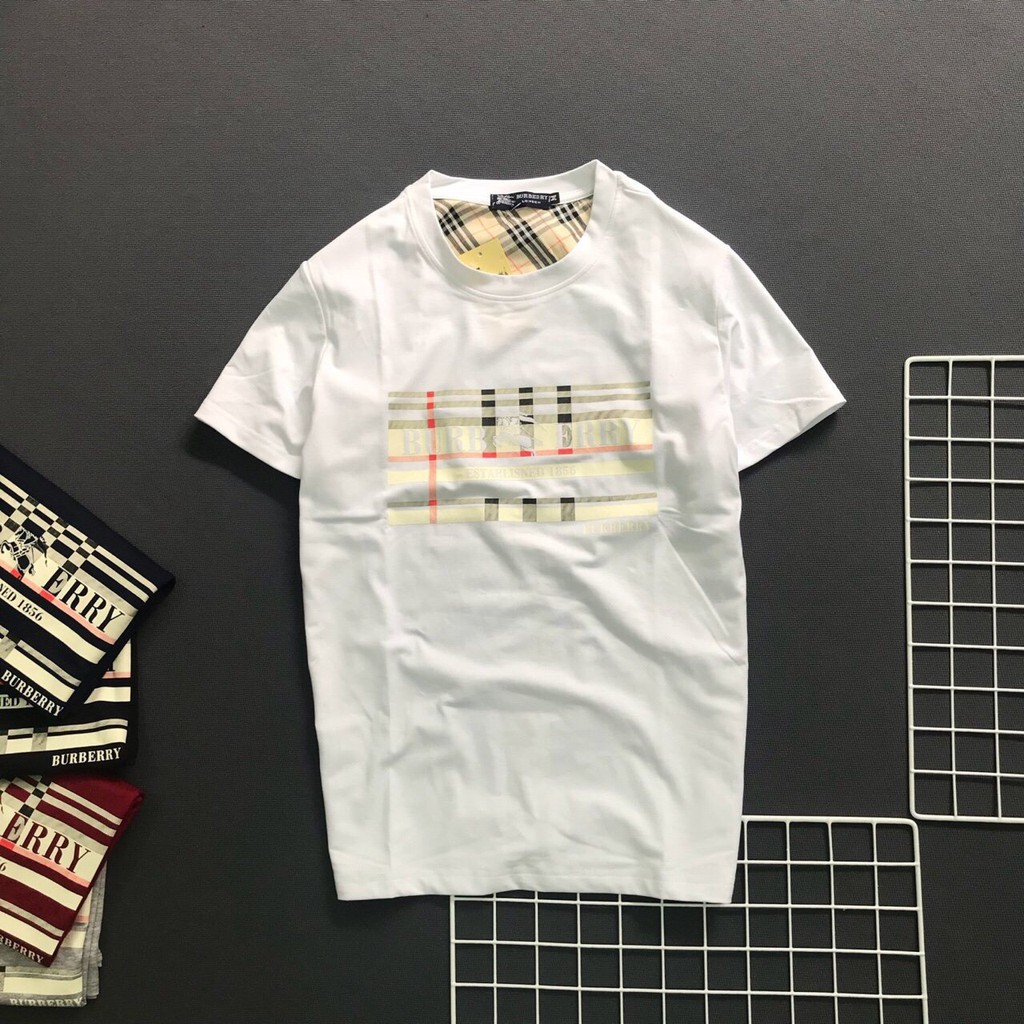 Áo thun nam cổ tròn áo phông vải cotton co giãn dày dặn nhiều màu - Bury tròn