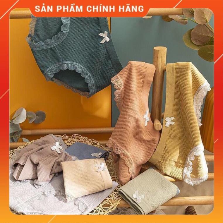 Quần Lót Cotton Thông Hơi Co Giãn 4 Chiều Sợi Bông Viền Ren Cao Cấp 3312