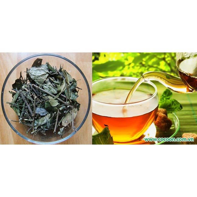 Trà vằng lá sen Thông Cát (SINCE 1918) - Trà giảm cân, detox cơ thể, đào thải mỡ thừa, làm đẹp da [Dùng thử] | BigBuy360 - bigbuy360.vn