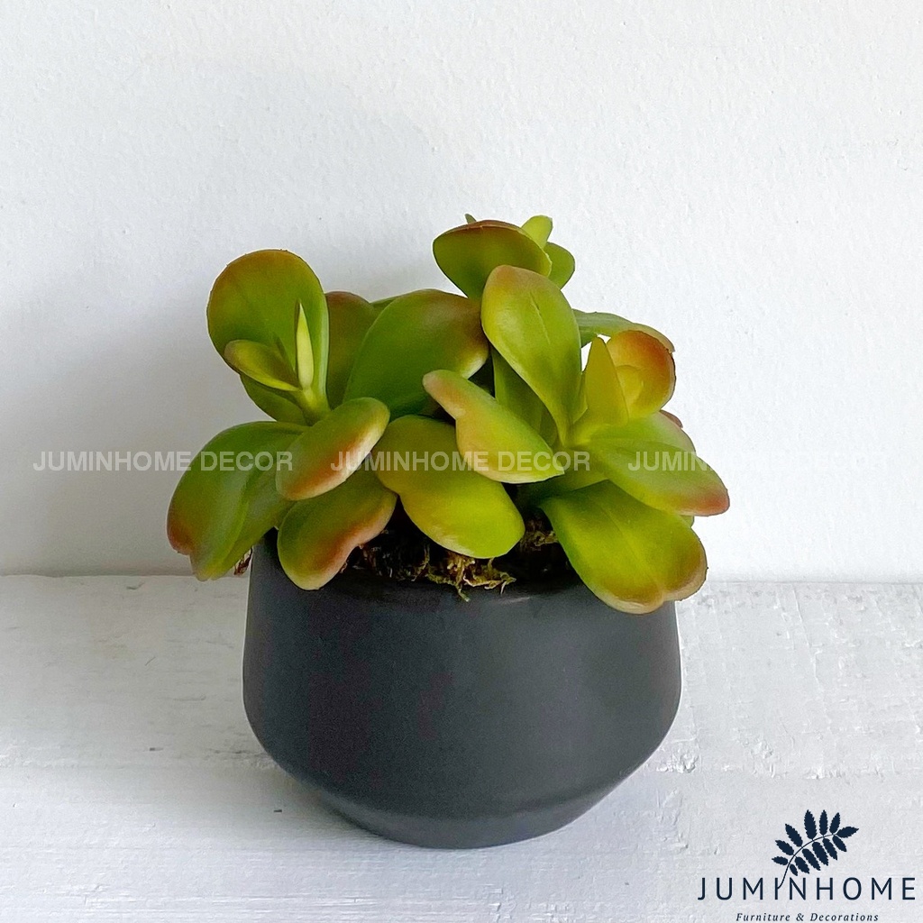 Cây giả Decor - Chậu sen đá mini Decor trang trí để bàn