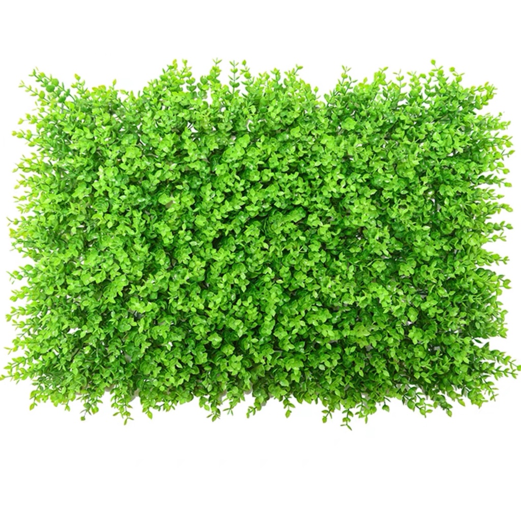 Cỏ Tai Chuột Trang Trí - Thảm Cỏ Nhân Tạo