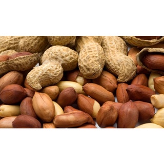 Đậu phộng hạt gói 1kg