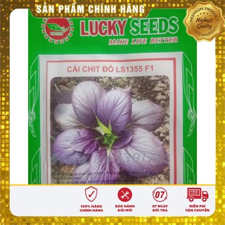Hạt giống Cải chit