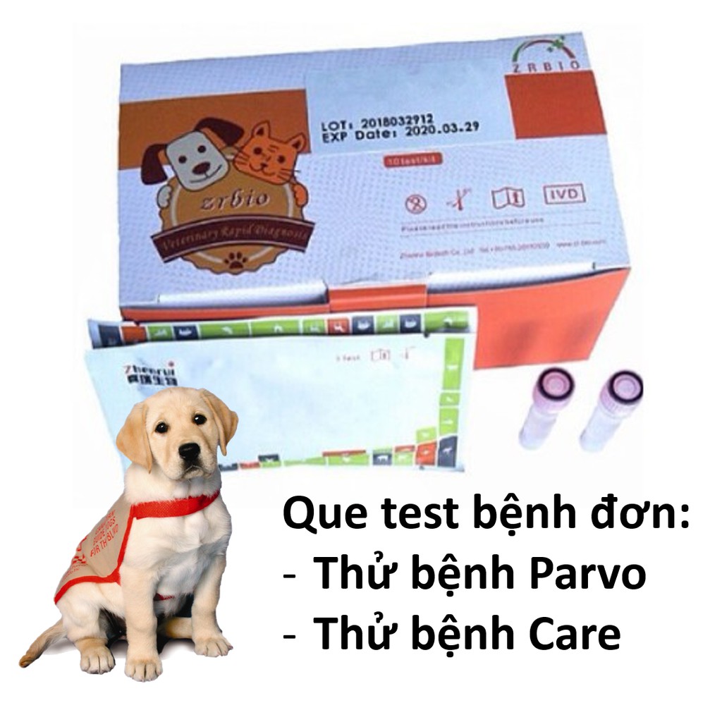 Hanpet.GV- Que test bệnh PARVO và CARE cho chó dụng cụ phòng khám chó mèo / que thử bệnh parvo tại nhà /