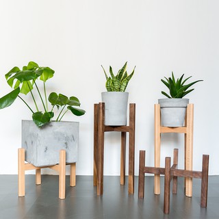 Đế gỗ để cây cảnh